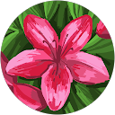 Aline Pedra profile picture